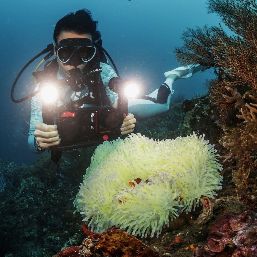 Sealife SportDiver 67mm +6 Macro Lens - Image 8